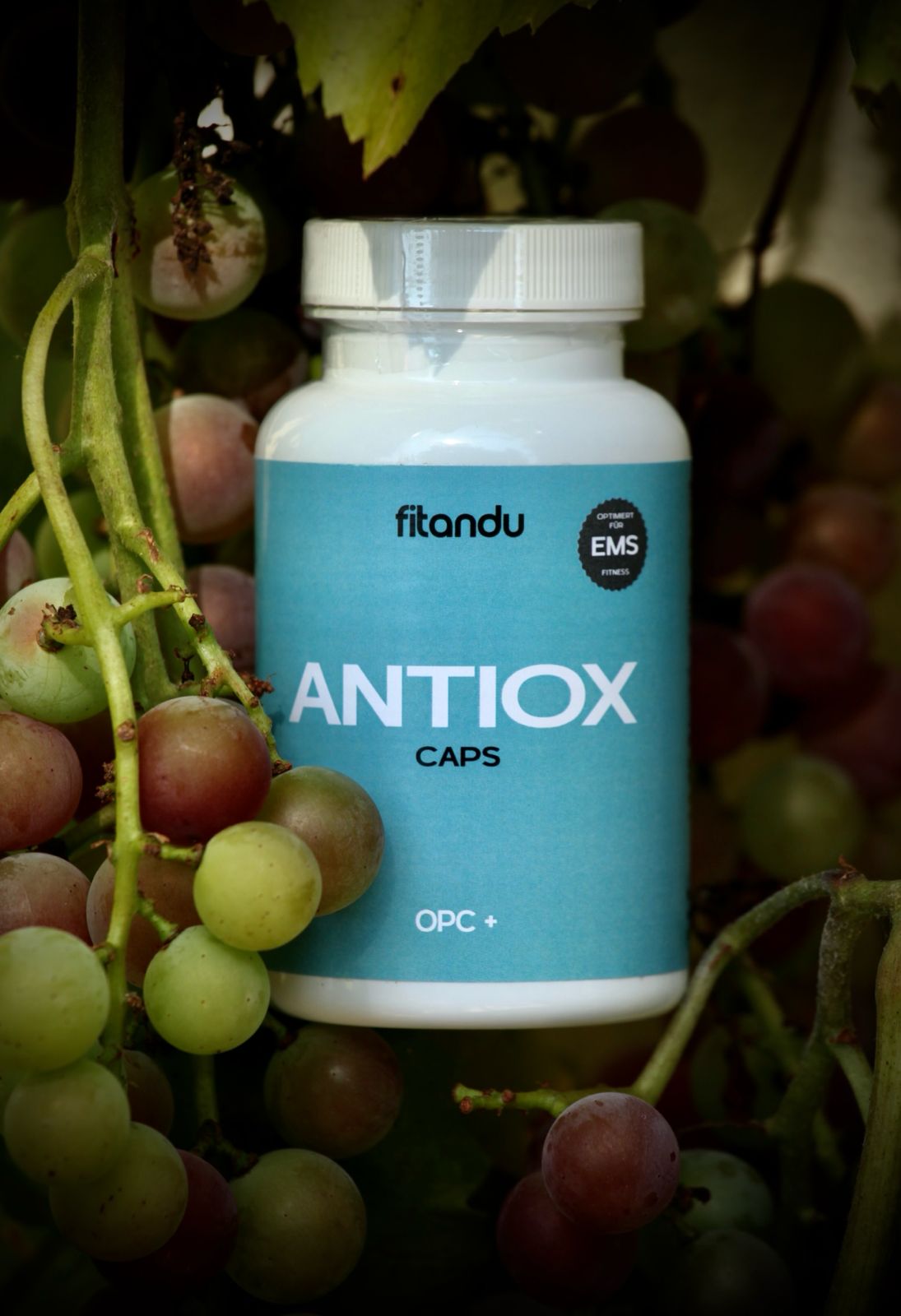 EMS ANTIOX Caps